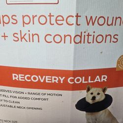 Recovery Cone Collar New Large