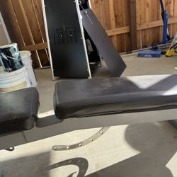 Work Out Bench 