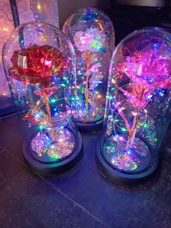 Valentine Days Rose Bear ,flowers