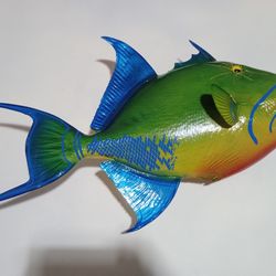 Queen Triggerfish Mount 