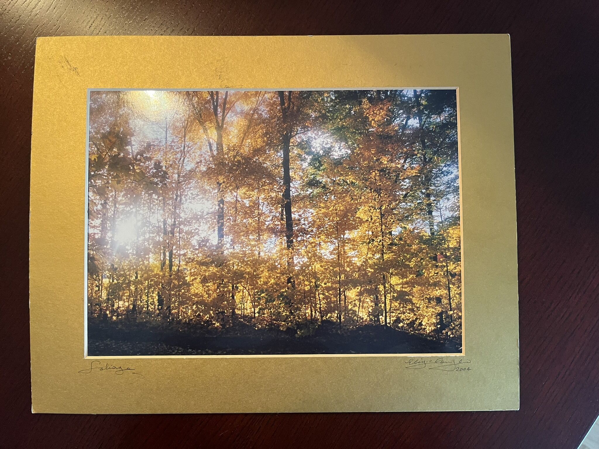 Foliage 14x11 with Gold Matt Photograph. Framingham pick up: cash only. Best offer.