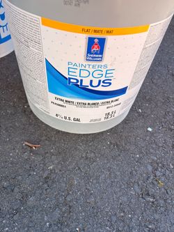 Edge flat paint extra white