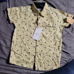 Boy Shirt  Dinosaur Print