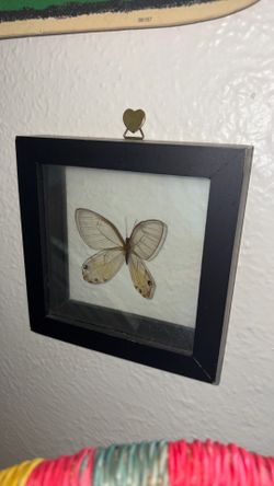 Butterfly Decor