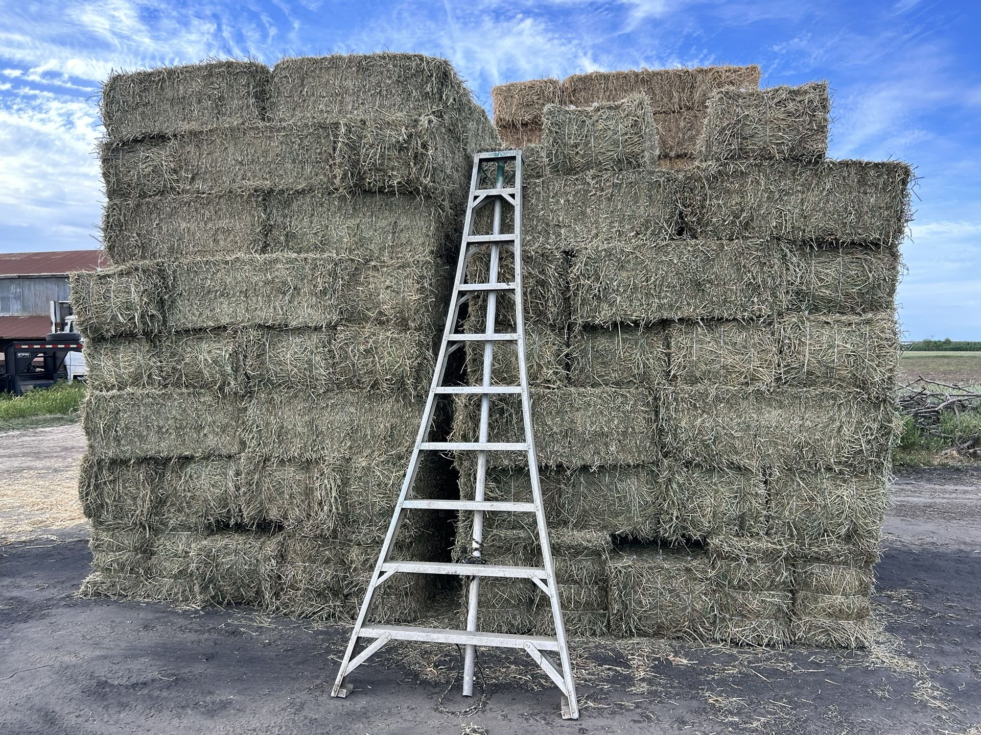 ALFALFA HAY / 3 WAY