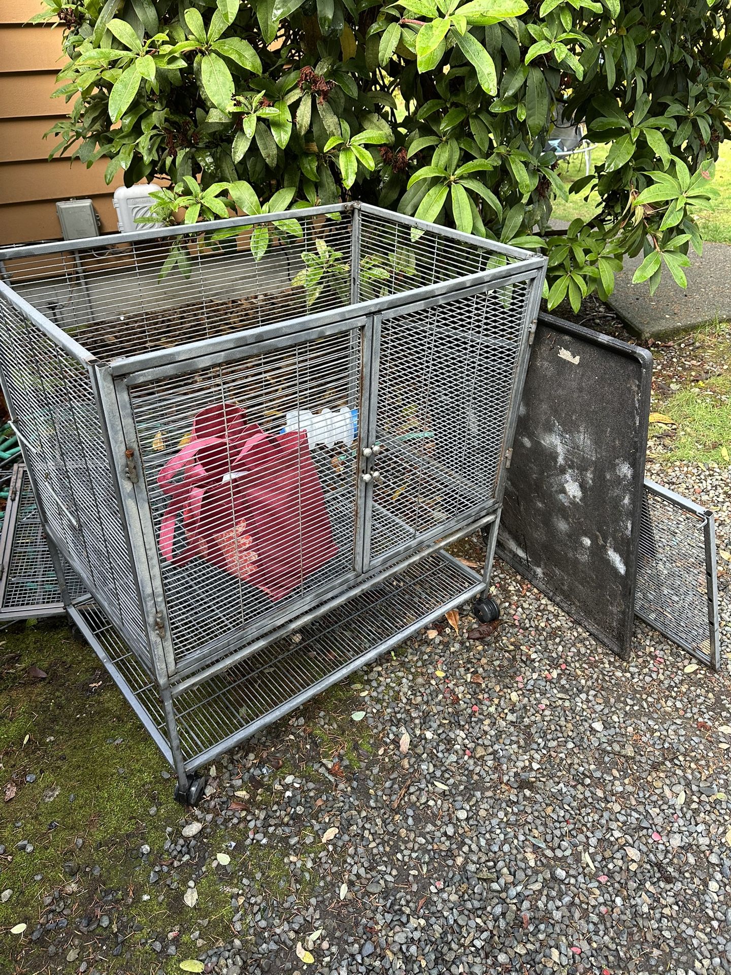 Rat Cage With Equipment