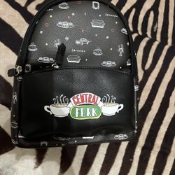 Central Park From Friends Bag