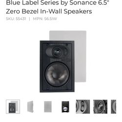 Elura In-Wall Speakers