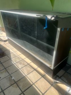 Display case