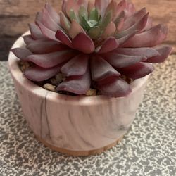 Large Faux Succulent In White Marble Like Base W/ Wood Accent Bottom