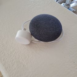 Google Home Mini