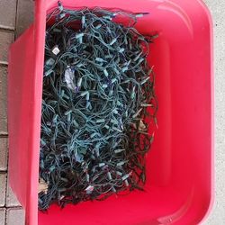 tub of Christmas lights