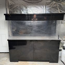 Over 100 Gallon Fish Tank