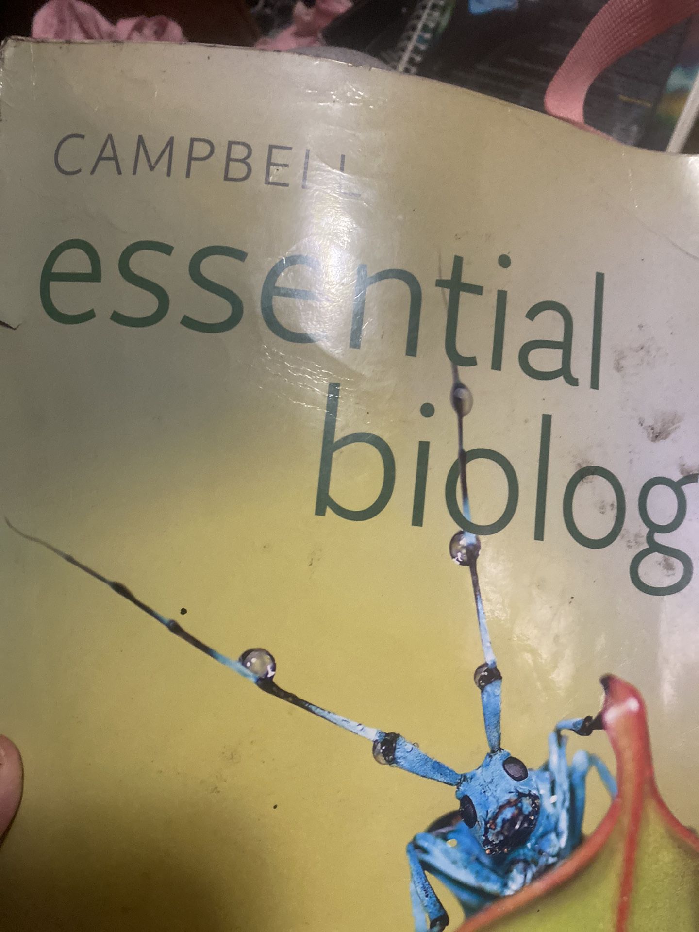 Essential Biology Textbook