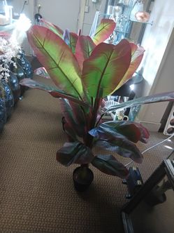 Artificial Red Banana Plant