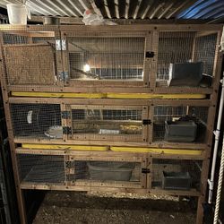 Custom Quail Racks/cages and Chick Brooders