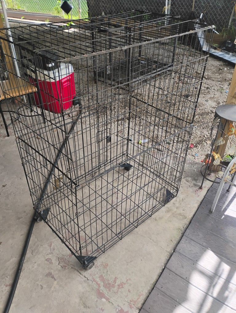Bird Cage For Sale