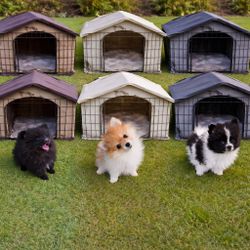 Kennel Cage 