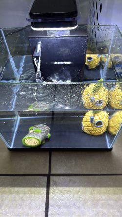 Fish tank