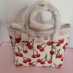 COACH -LEATHER CHERRY MOLLIE 25 CY695