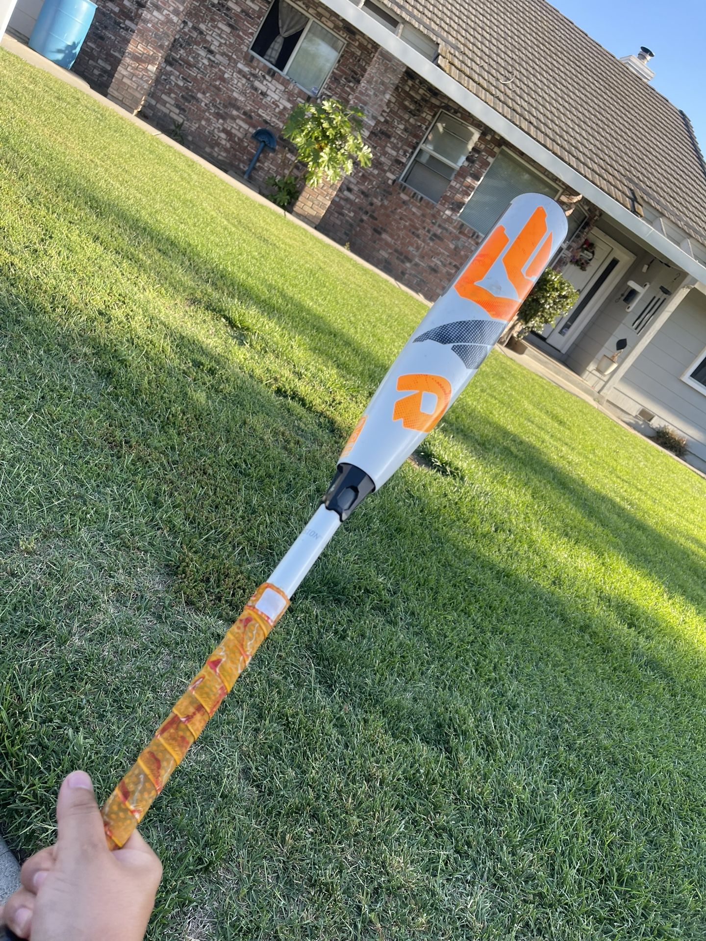 Dimarini Bat