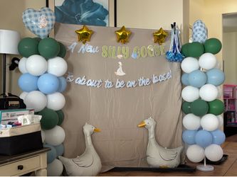 Silly Goose Baby Shower