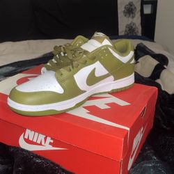 Olive Green Nike Dunks Brand New Size 11 $200