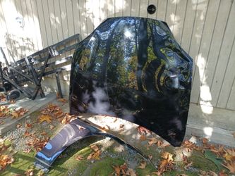 Black Car Hood and Fender Panel for 2017 tesla S