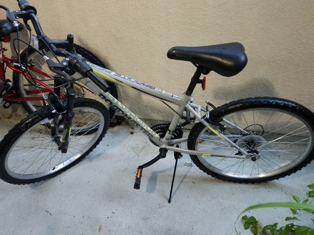 RoadMaster Mountain Bike