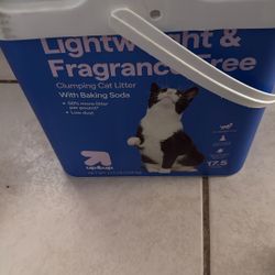 Cat Litter