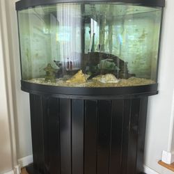 Corner Fish Tank 