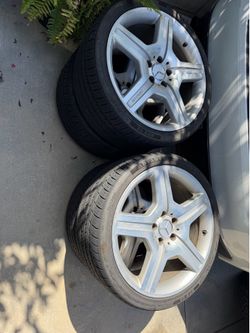 19 inch rims
