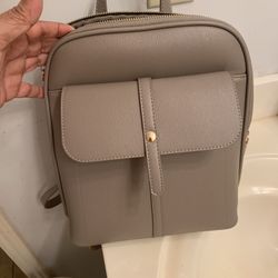 Purse Backpack Brand New Used Only Ince