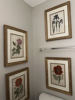 Botanical Flowers