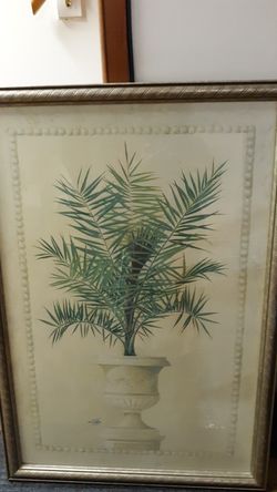 PALM TREE PICTURE
