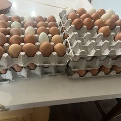 Organic Eggs 