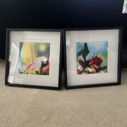 Two IKEA Black Picture Frames With Pictures- dimensions 19.5/8