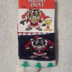 Vintage Looney tunes Christmas holiday kids socks