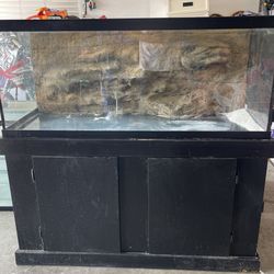 75 Gallon Tank