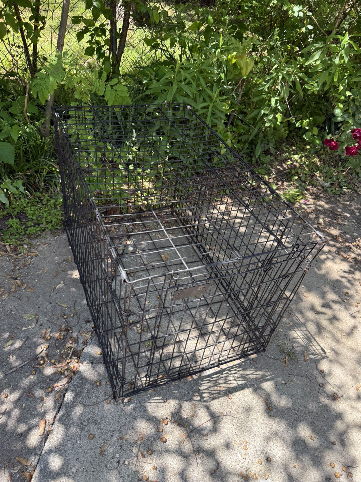 Large Crate