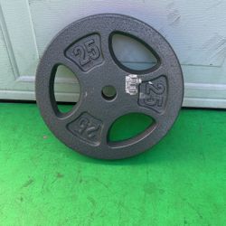 25 Lbs Weight 