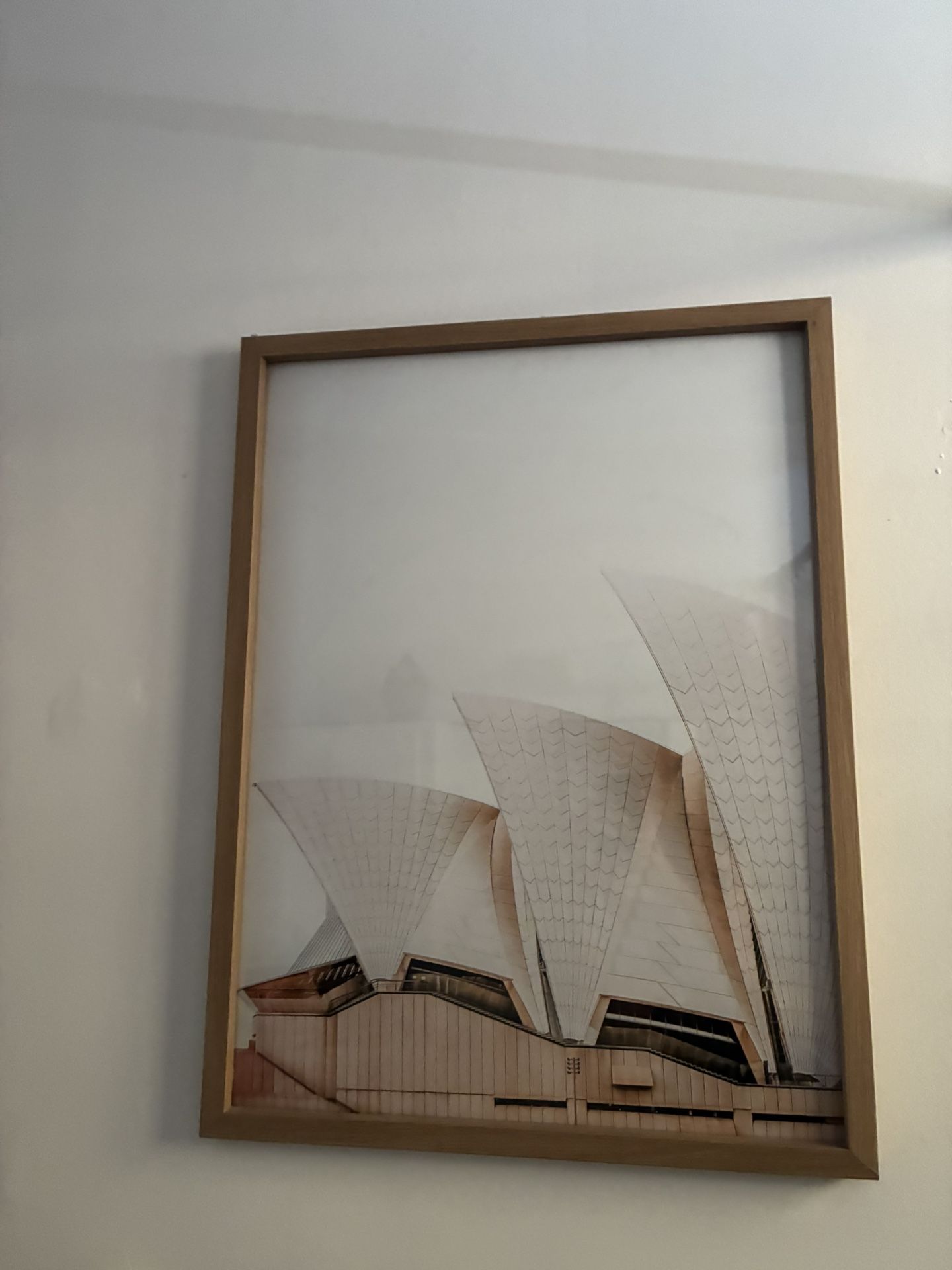 Framed Art Prints - Modern + Botanical + Vintage)