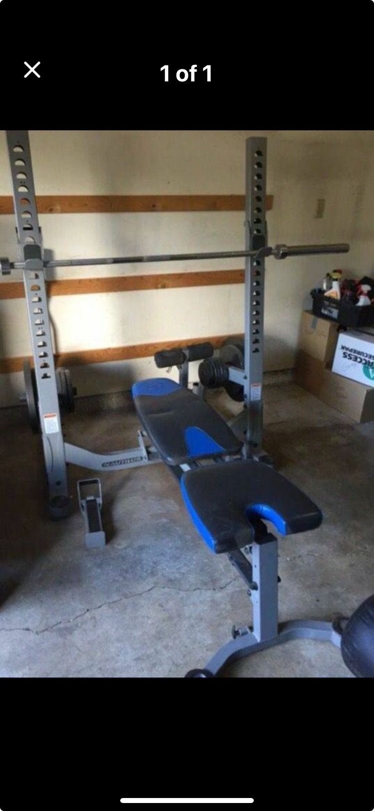 Professional Weight Bench With Weights