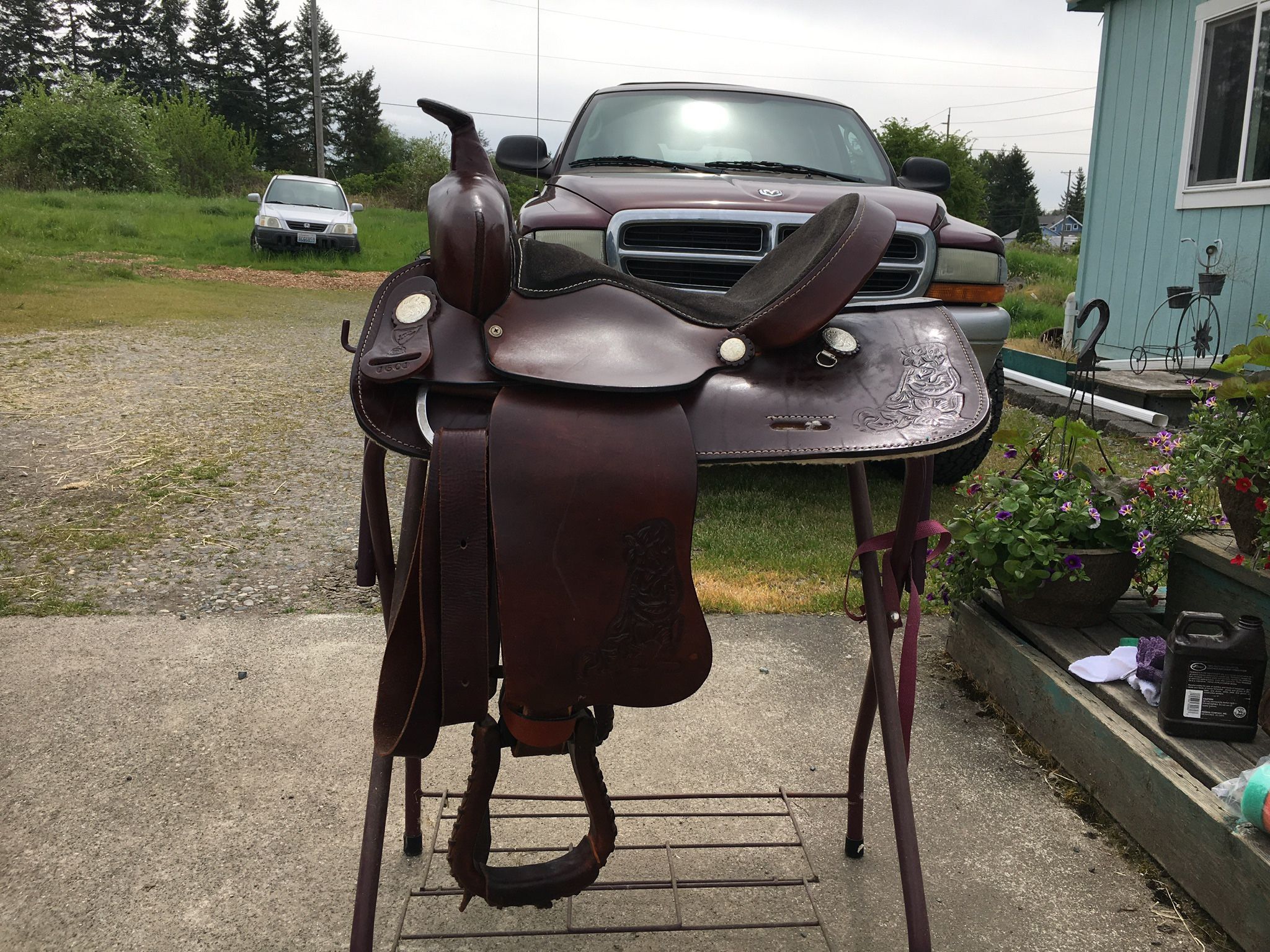 Western Saddle