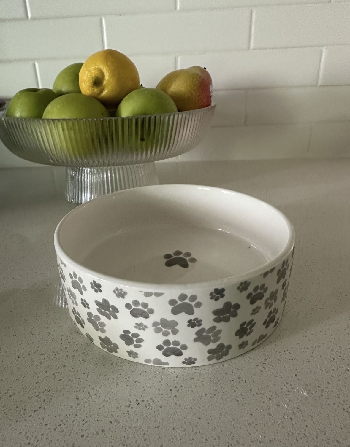 Cat Bowl