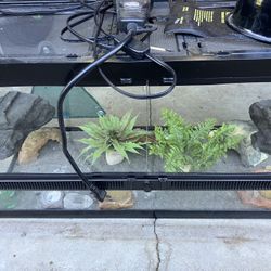 FREE Small lizard/pet Enclosure/tank