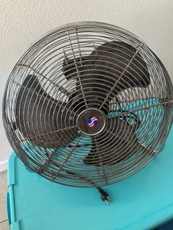 Fan