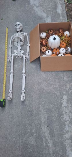 Halloween skeleton + 15  Plastic Pumpkins 🎃