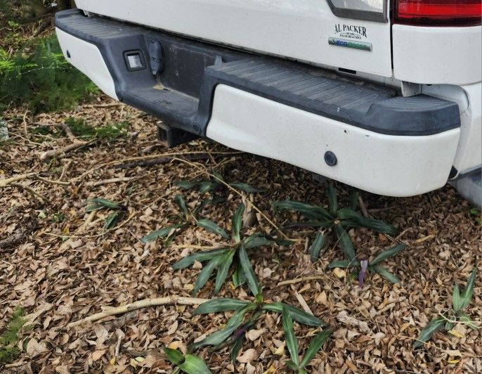 2015-2019 Ford F150 Rear Bumper Cover 