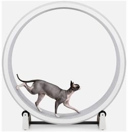 One Fast Cat Exercise Wheel